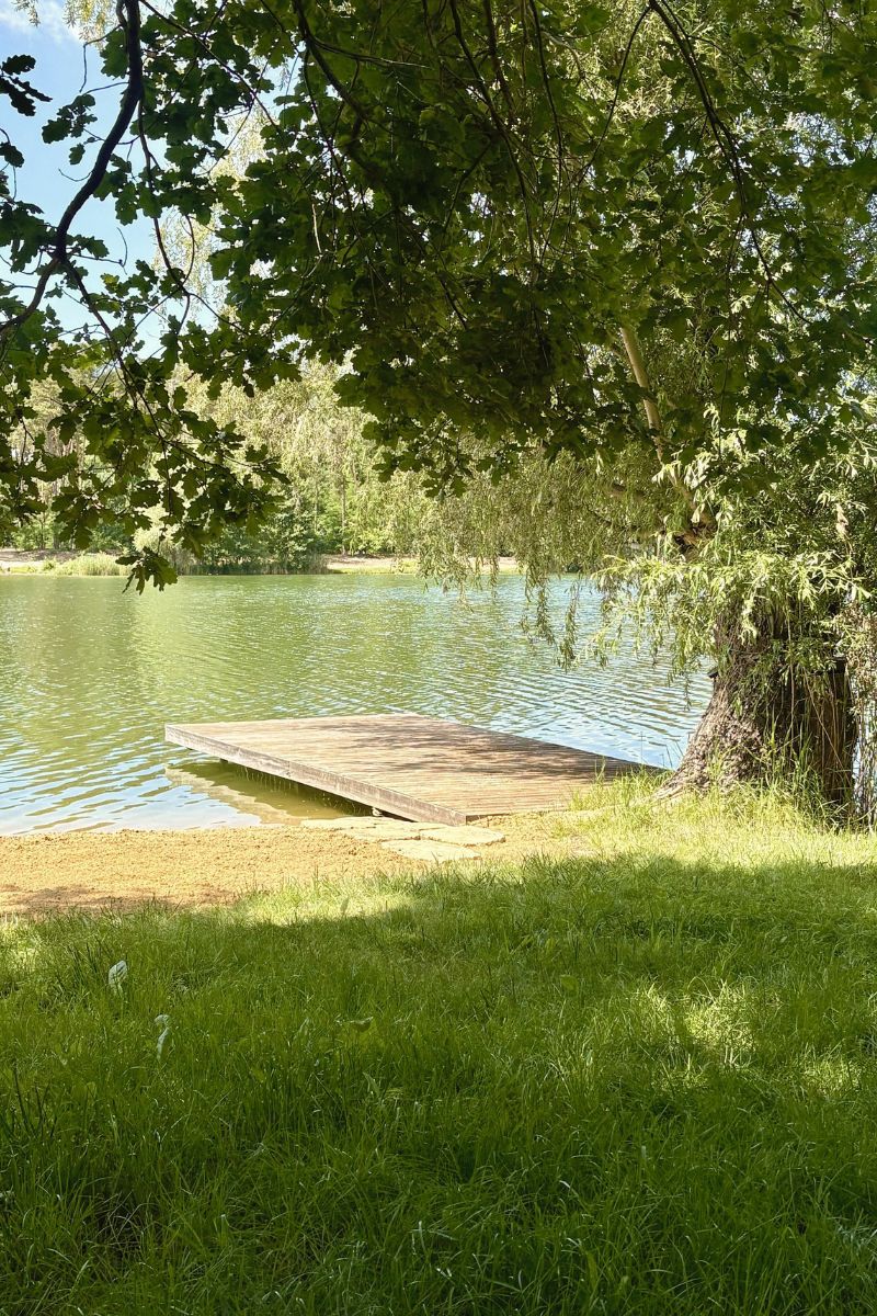 Drevené mólo na pokojnej hladine jazera v dopoludňajšom slnku pod vŕbou a dubom